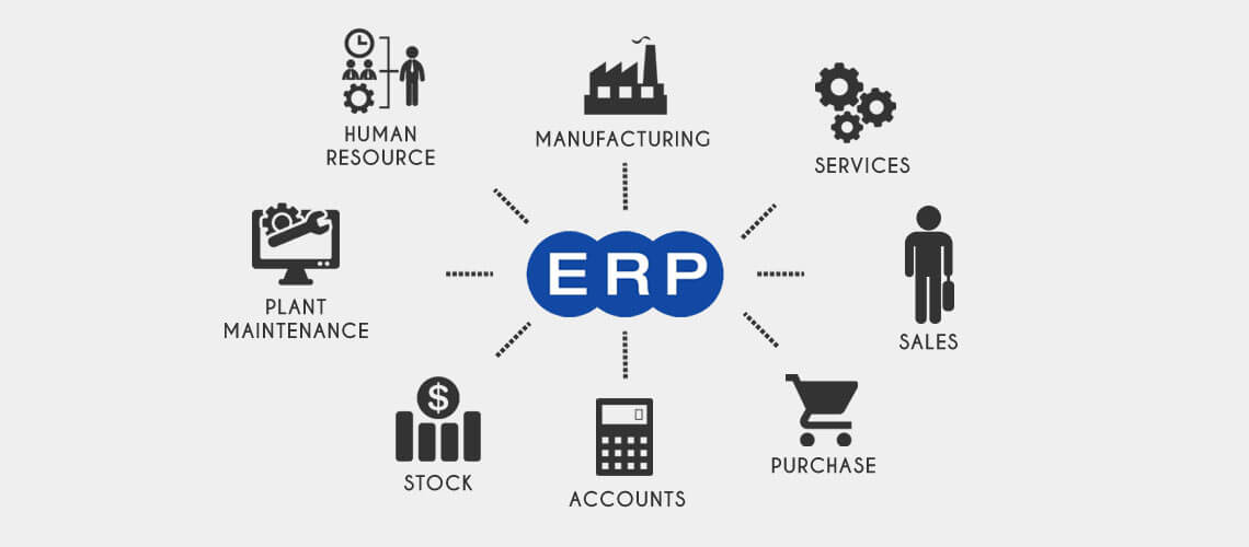 software de gestão ERP