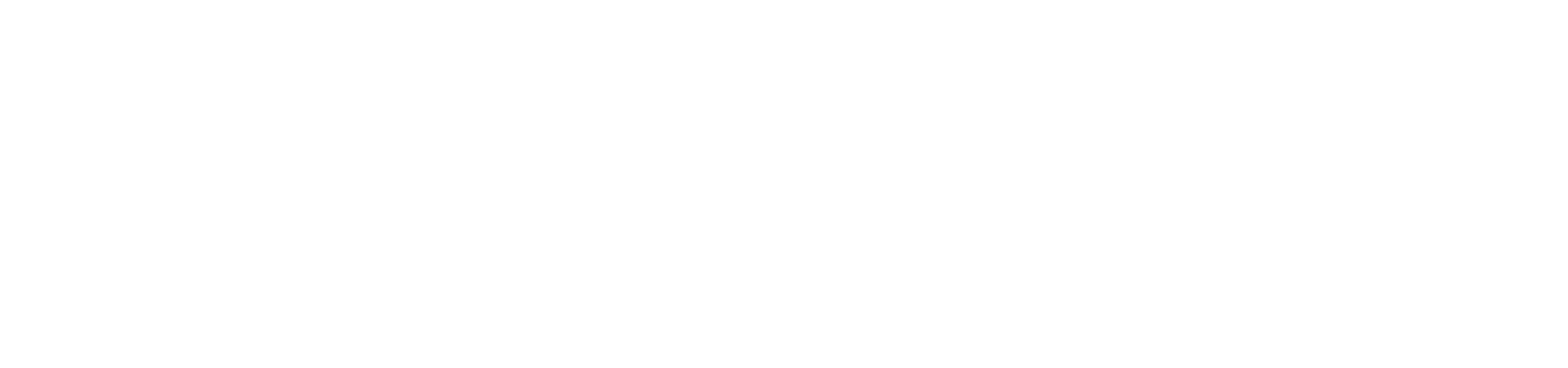 Logo do FoccoERP na cor branca